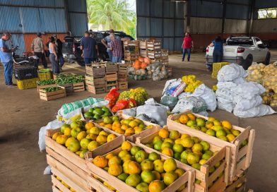 Agricultura de Campos inicia nova etapa do PAA com distribuição de 13,2 toneladas de alimentos