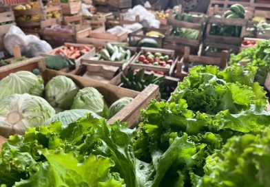 Instituições de Campos beneficiadas com nova distribuição de alimentos do PAA