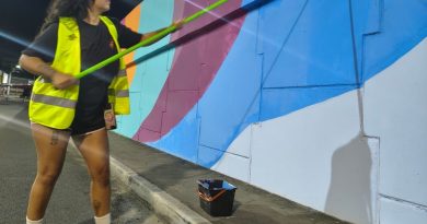 Festival Efeito leva arte em graffiti à Ponte Leonel Brizola