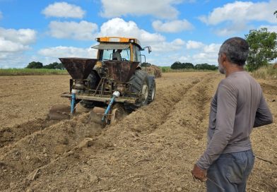 Produtor rural do Assentamento Oziel Alves recebe apoio para nova safra de cana Produtor rural do Assentamento Oziel Alves recebe apoio para nova safra de cana