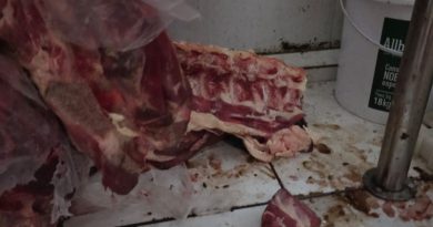Visa apreende 885 quilos de alimentos impróprios e interdita supermercado em Campos Visa apreende 885 quilos de alimentos impróprios e interdita supermercado em Campos
