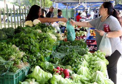 Feiras da Agricultura Familiar acontecem todos os dias em até quatro pontos de Campos