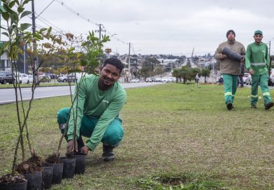 Macaé supera 3,6 mil árvores plantadas em 2026 e avança na arborização Macaé supera 3,6 mil árvores plantadas em 2026 e avança na arborização