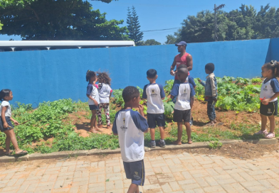 Horta agroecológica transforma o cultivo de alimentos em aprendizagem em escola de Campos Horta agroecológica transforma o cultivo de alimentos em aprendizagem em escola de Campos